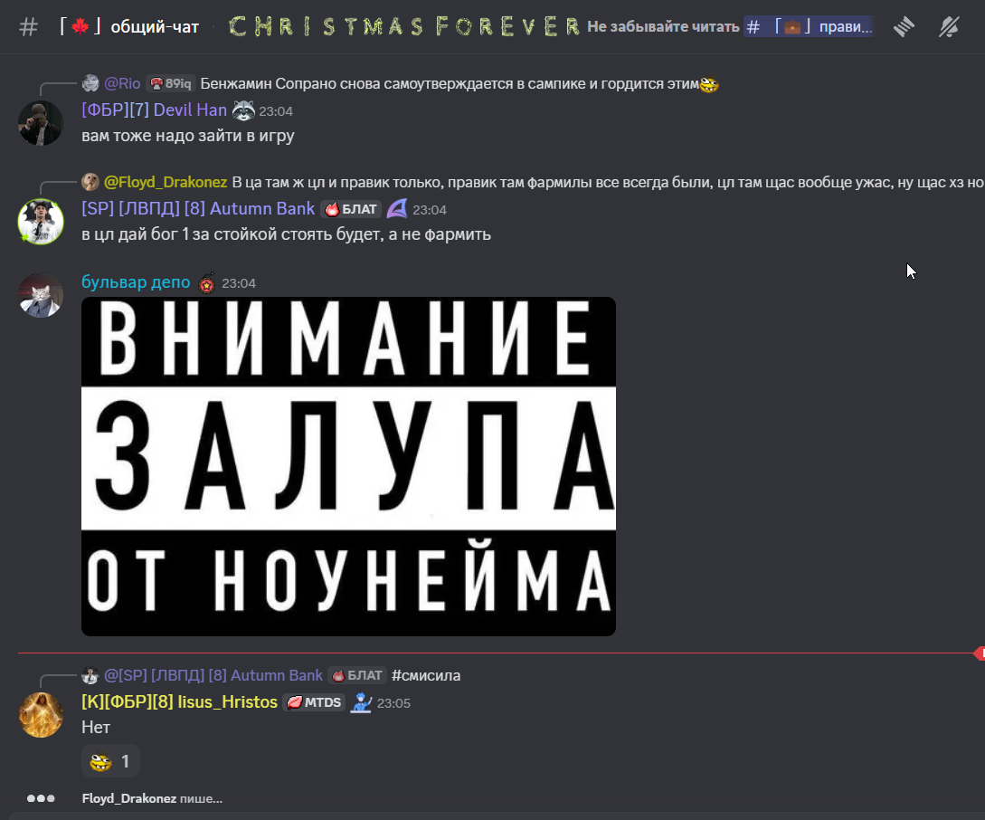 rfxdvgbe.png